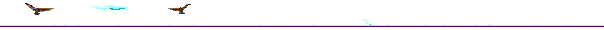 birdoversea.gif
